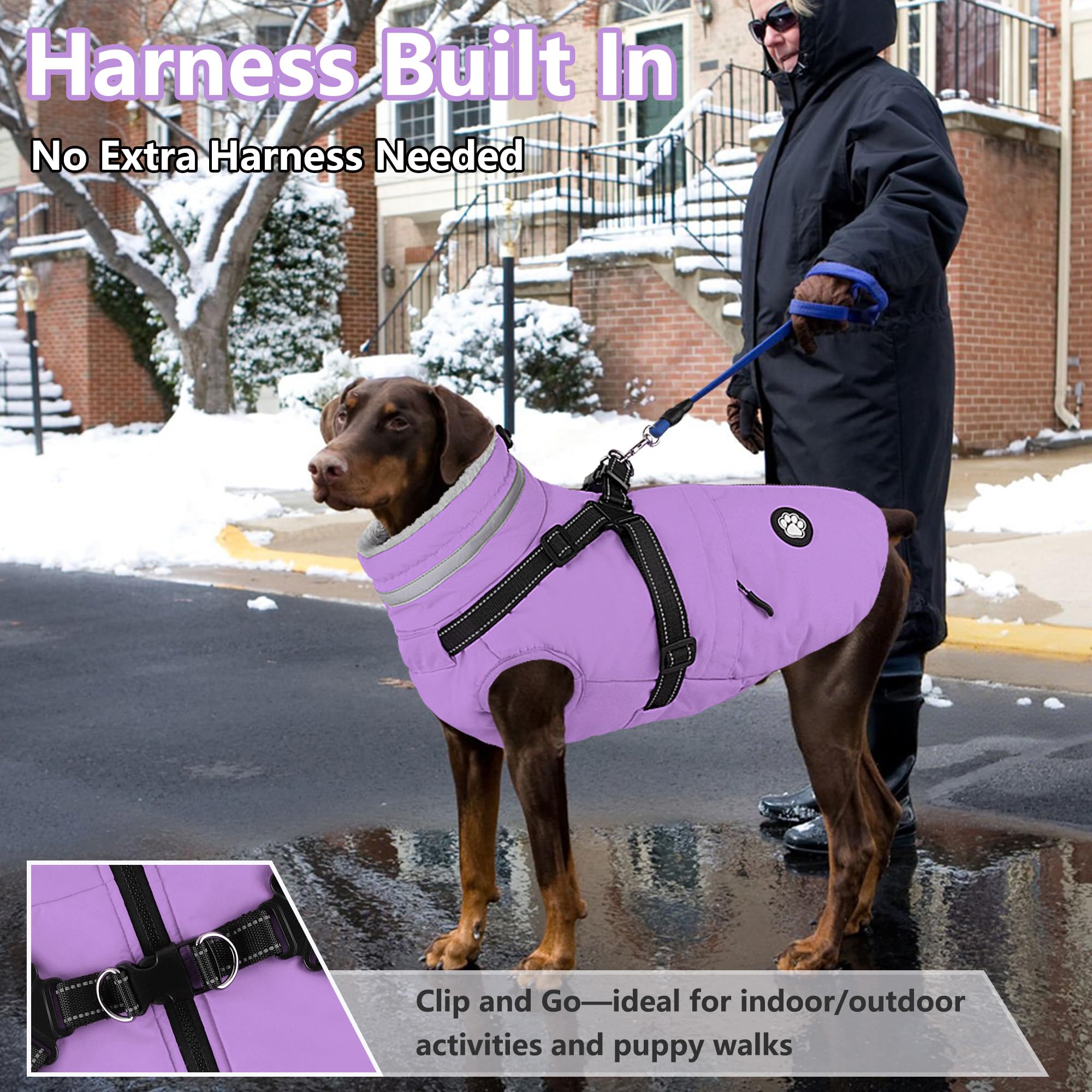 Dogcheer waterproof-windproof outer, keeps a dog dry during snowy walks.