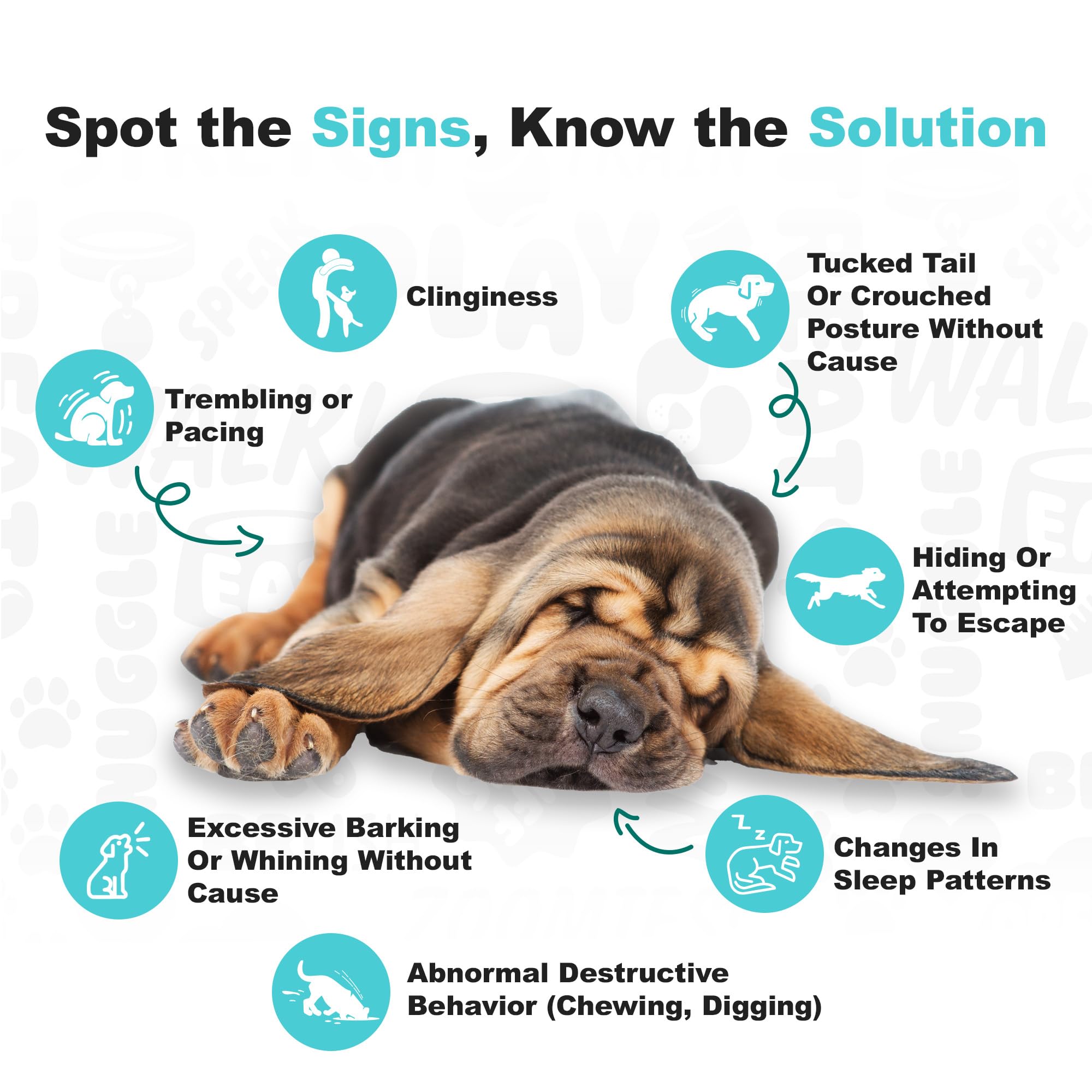 Doggie Dailies Calming Chews close-up label highlights melatonin and chamomile benefits.