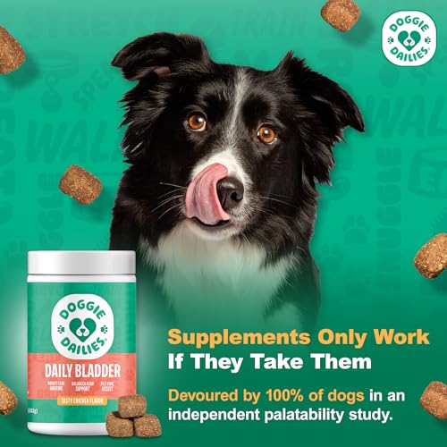 Doggie Dailies cranberry soft-chews bacon flavor ready for daily urinary care.
