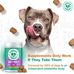 Doggie Dailies glucosamine ingredient image implying joint support potential.
