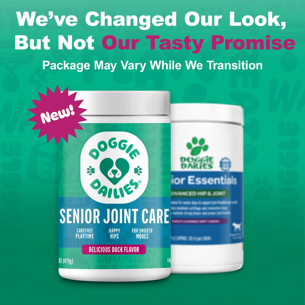 Doggie Dailies promotes activity and comfort for dogs with hip support