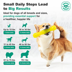 Doggie Dailies ingredients list highlights MSM CoQ10 turmeric and yucca