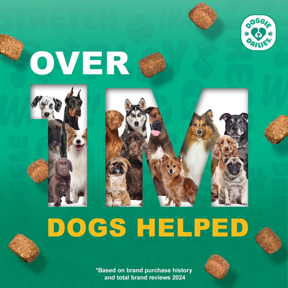 Doggie Dailies level-3 SQF facility badge emphasizes safety and quality.