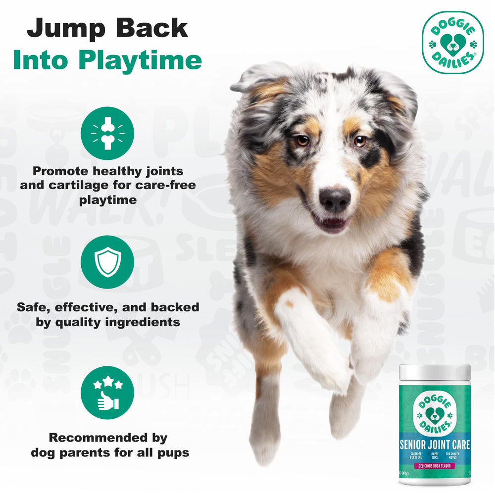 Doggie Dailies NASC seal emblem signaling trusted safety standards
