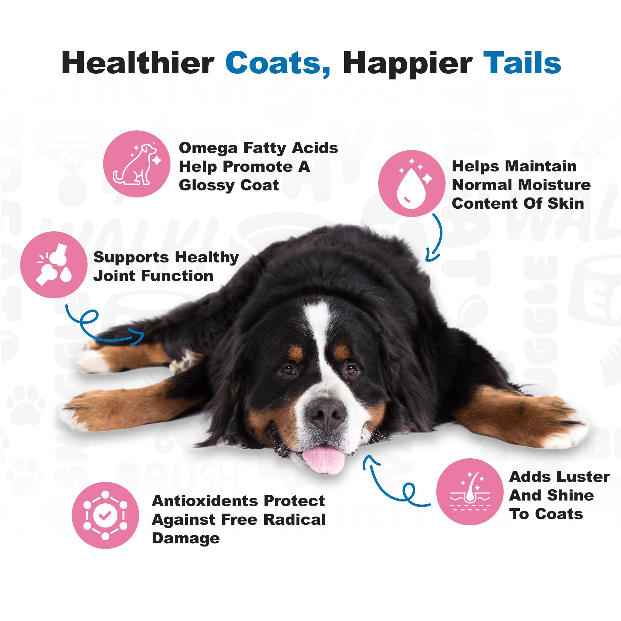 Doggie Dailies omega-3 krill oil closeup helps nourish skin and a shiny coat.