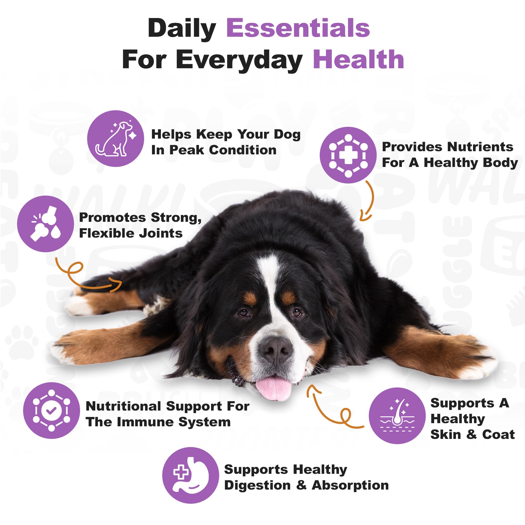 Doggie Dailies omega fatty acids image emphasizes skin and coat health.