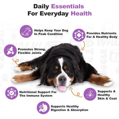 Doggie Dailies omega fatty acids image emphasizes skin and coat health.