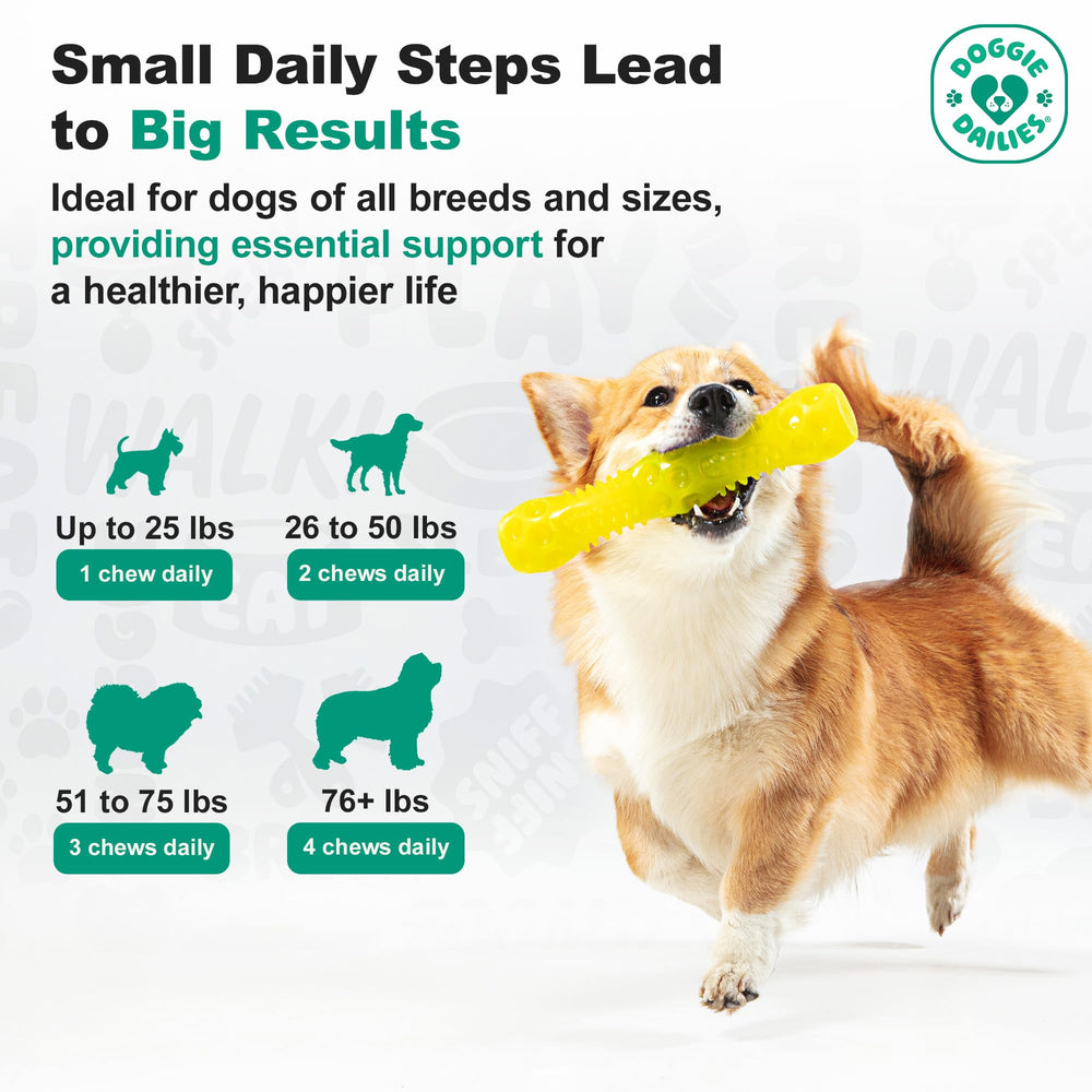Doggie Dailies packaging soft chews all sizes highlights dog-friendly daily use.