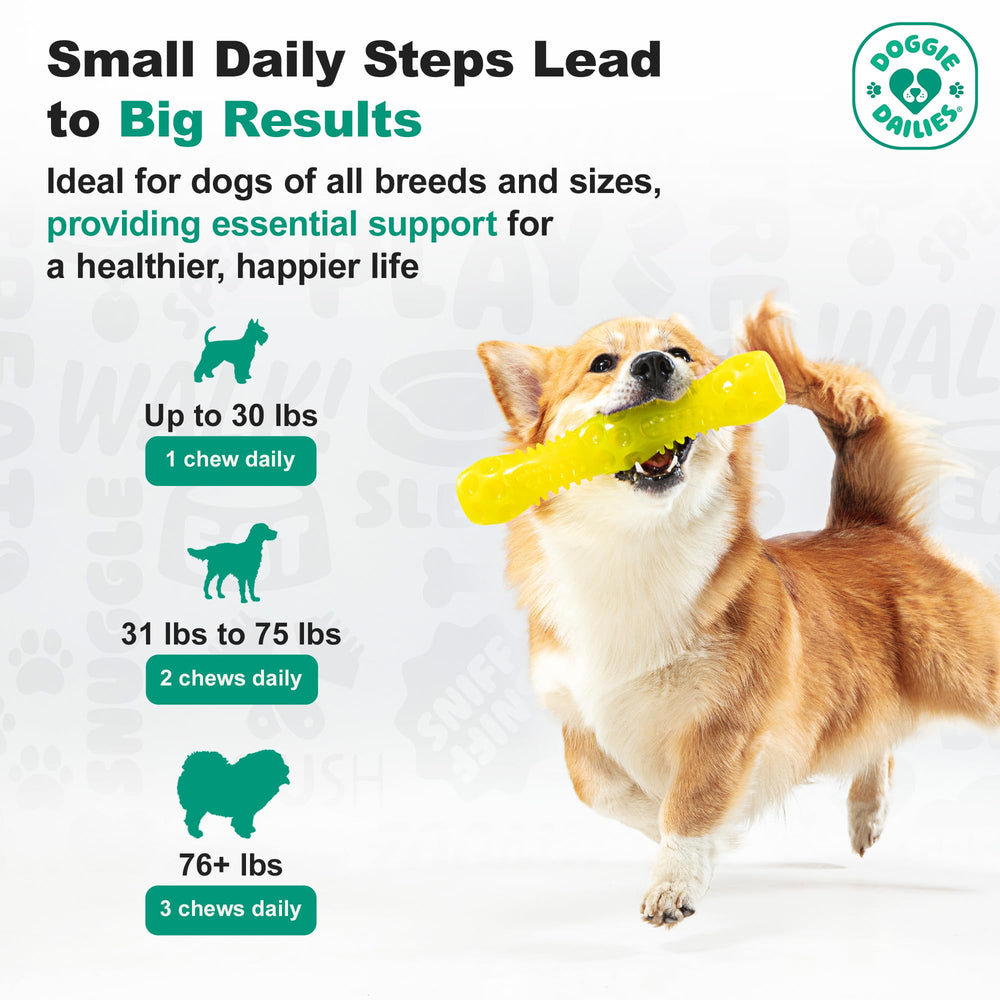Doggie Dailies palatability test dogs happily tasting the joint supplement