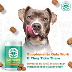 Doggie Dailies Probiotics chews close-up, easy administration.