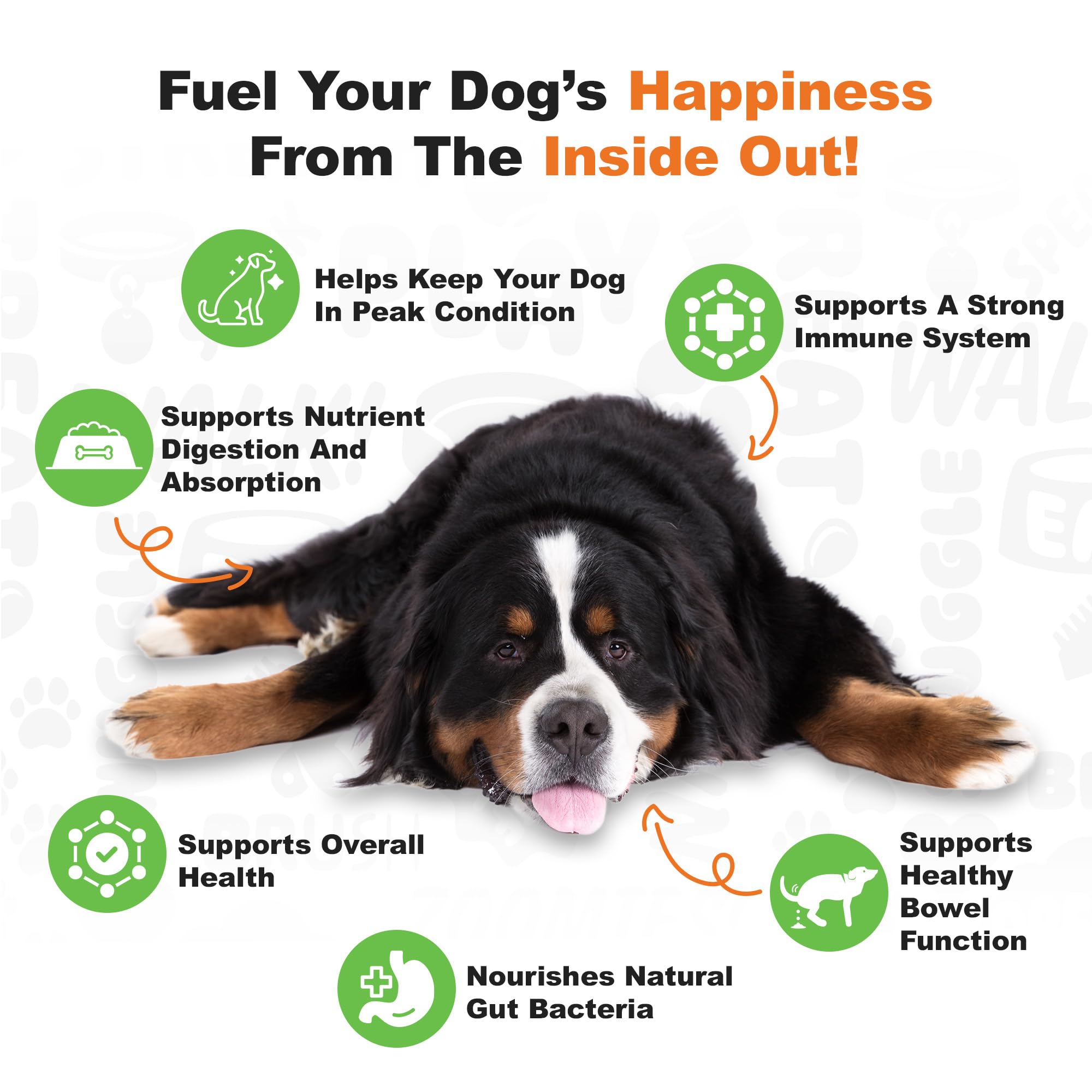 Doggie Dailies Probiotics dosing chart shows precise 15 lb increments.