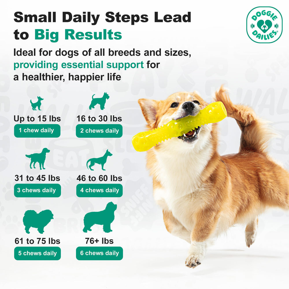 Doggie Dailies Probiotics label highlights immune support and gut health.