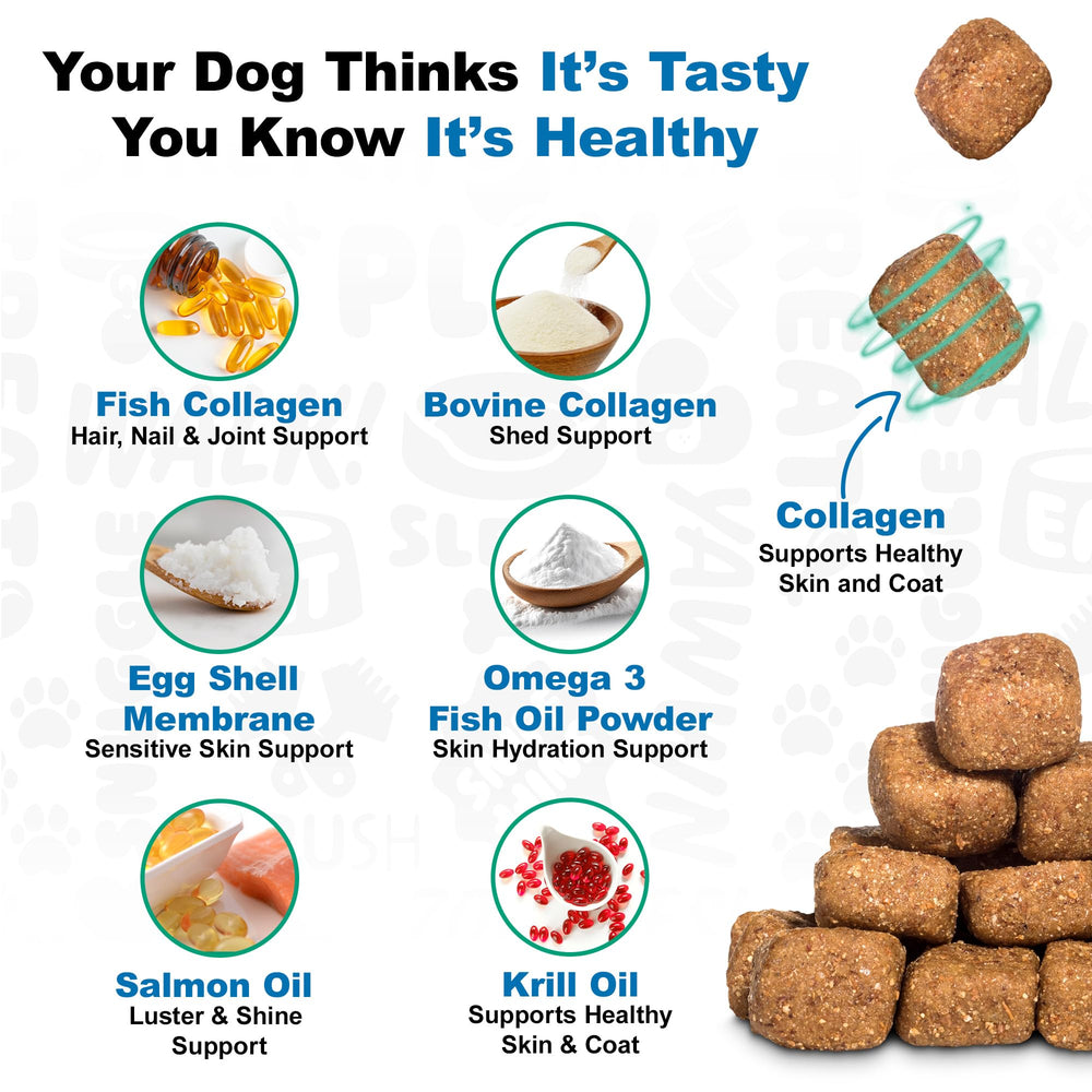 Doggie Dailies salmon oil pour closeup emphasizes easy dosing and omega-rich support.