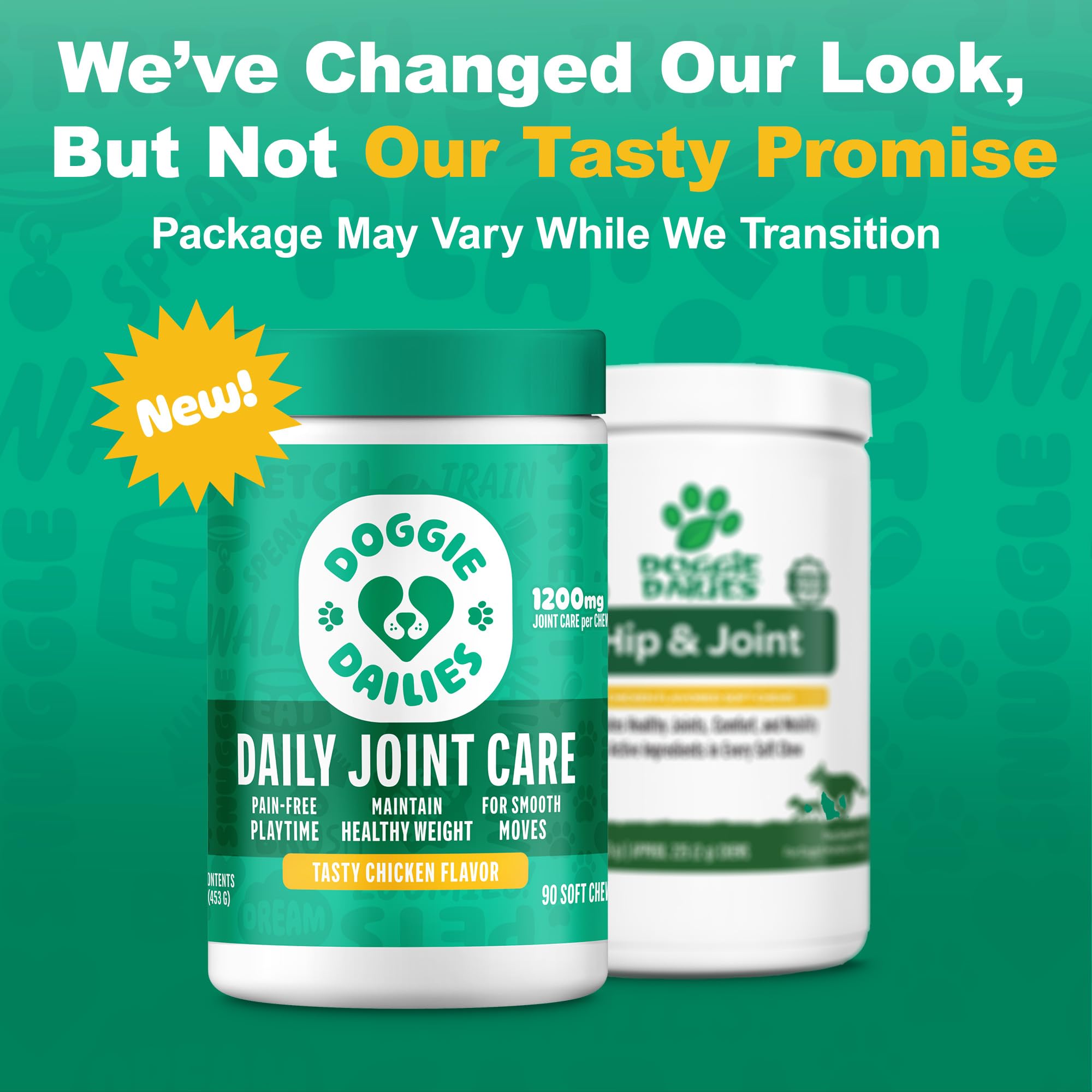 Doggie Dailies senior-dogs-active-life image shows mobility and daily activity.