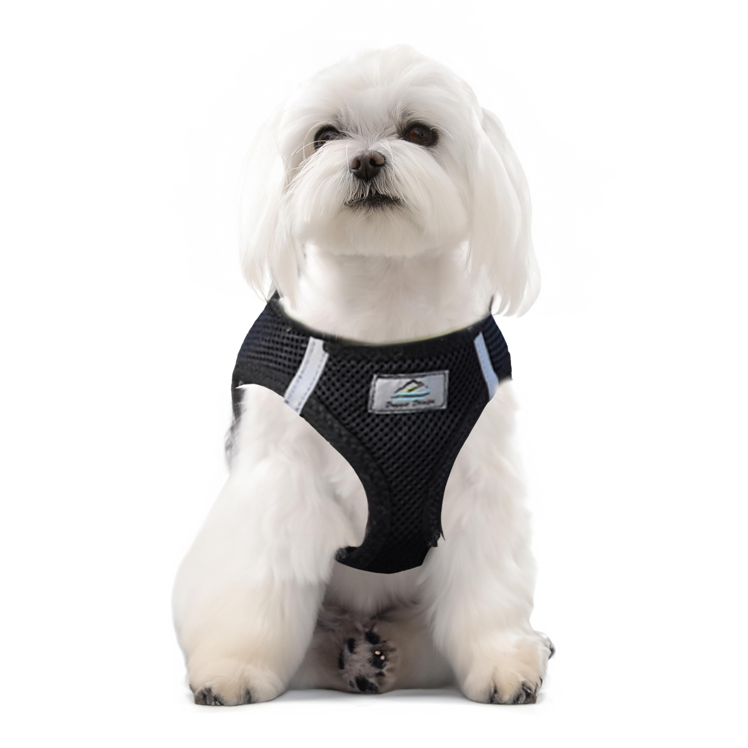 Doggie Design American River harness chest-pull safety for safer, calmer walks