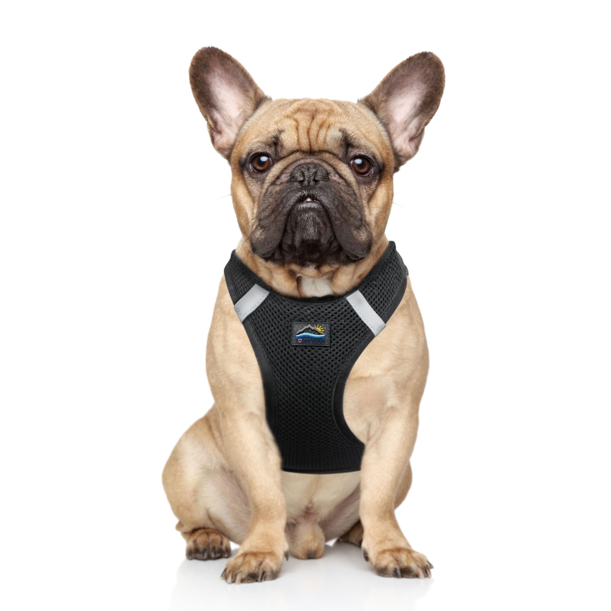 DOGGIE DESIGN American River harness step-in front view with quick, easy fit