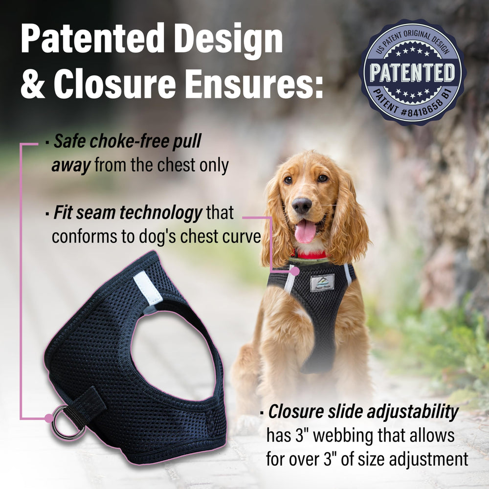 Doggie Design double-D-ring harness emphasizes reinforced control and secure leash attachment at night.