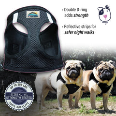 Doggie Design durable zigzag stitching ensures long-lasting wear during daily adventures.