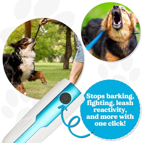 Doggie Don’t anti barking device in-use on walk shows audible cue for behavior redirection