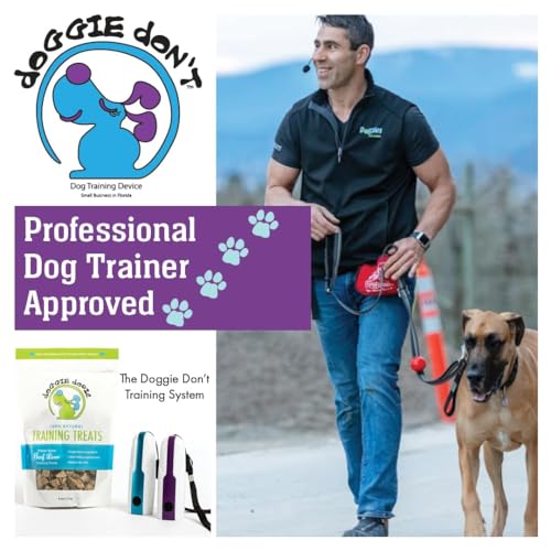 Doggie Don't use on reactive dog during walks for safer training.