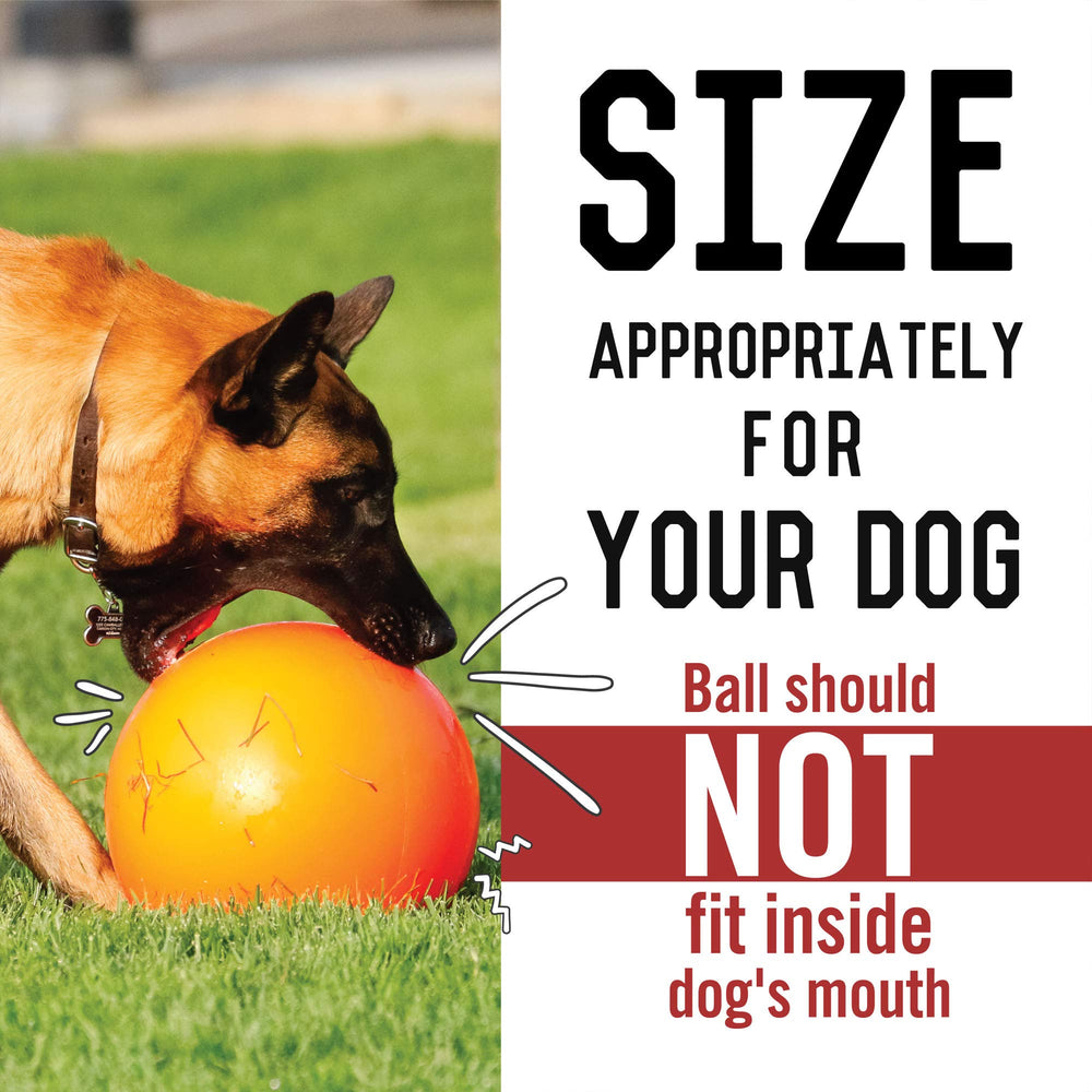 Doggie Dooley ball floating on water for splashy backyard adventures