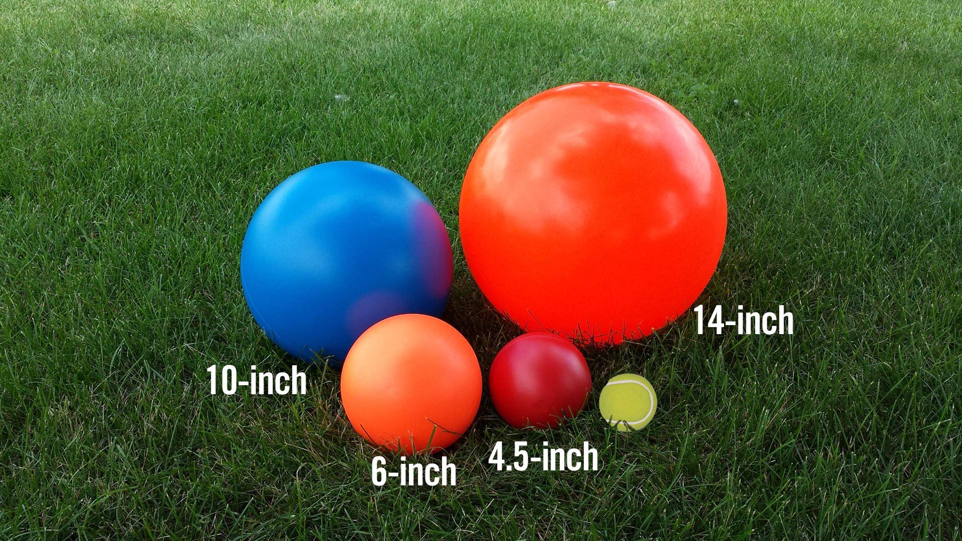 Doggie Dooley large-dog play ball for exercising active breeds