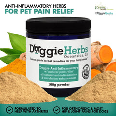 Doggie Herbs powder being poured over wet food demonstrates easy daily dosing.