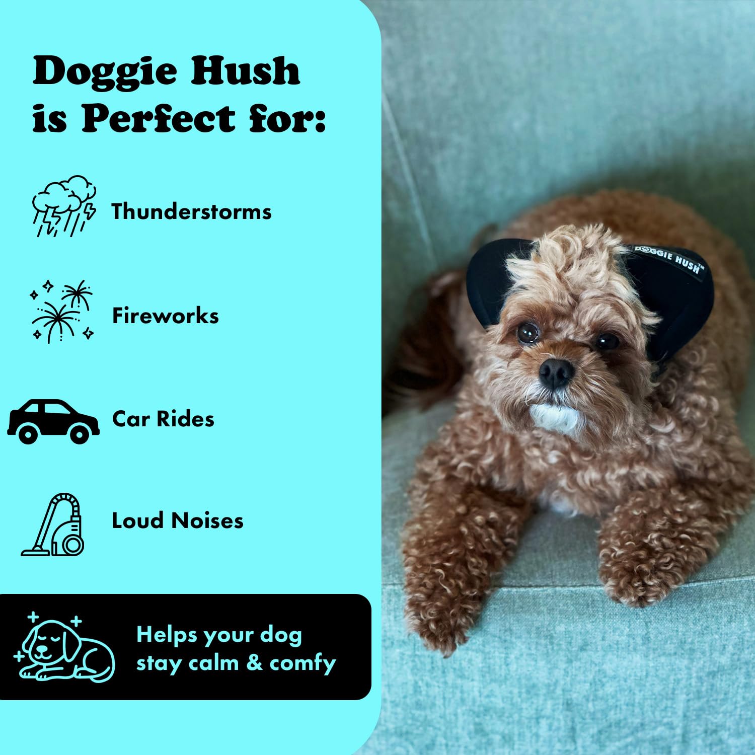 Doggie Hush noise buffer image illustrates reduced abrupt sounds for calmer walks.