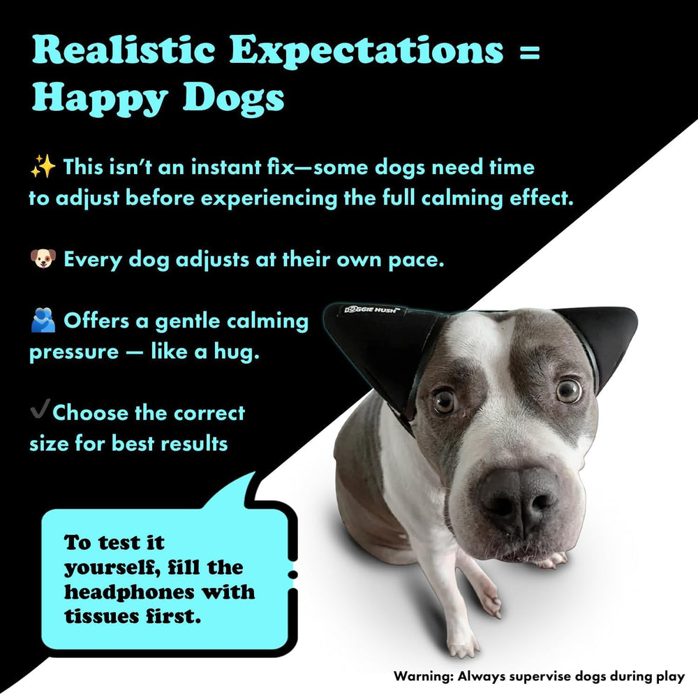 Doggie Hush Pro everyday uses from fireworks to vet visits