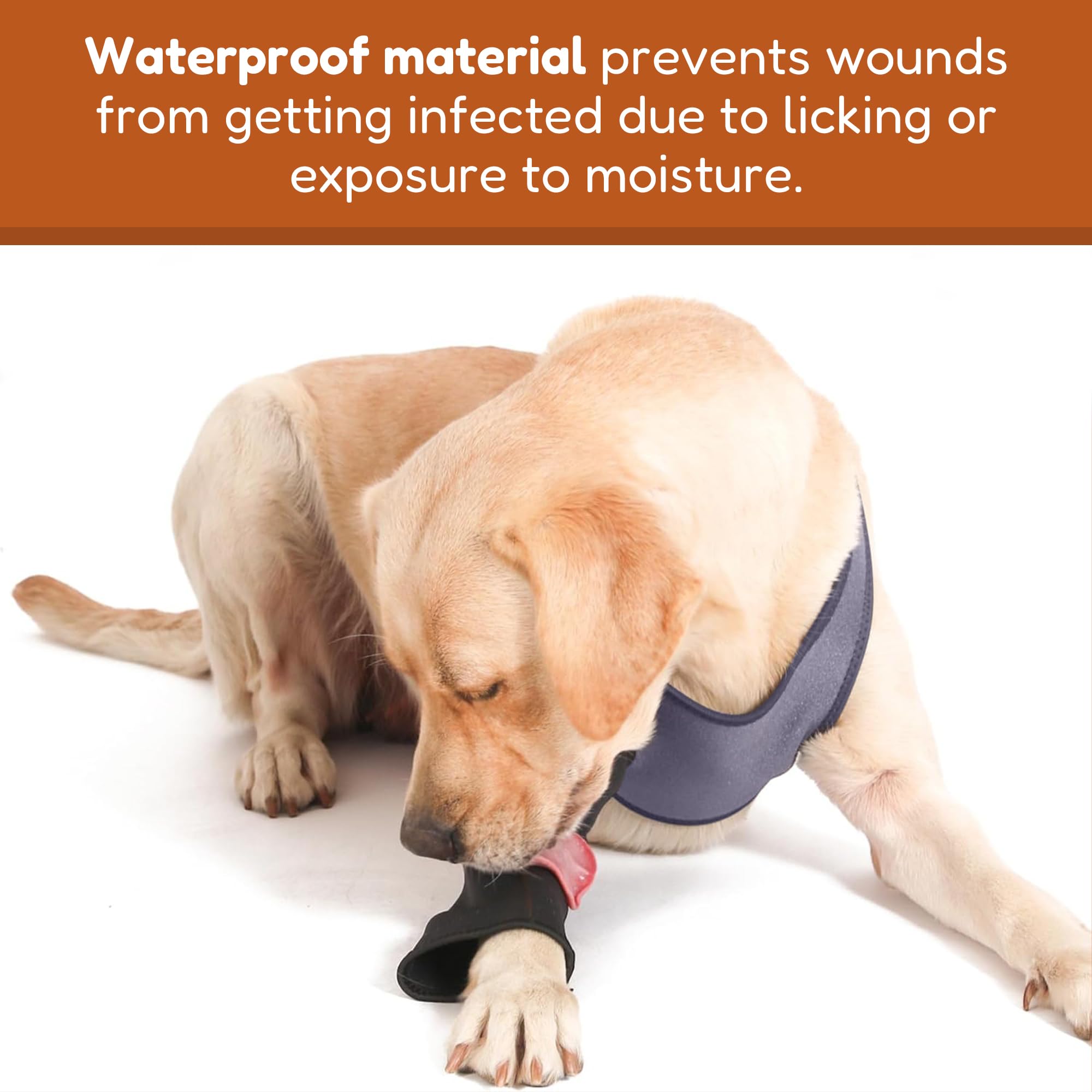 Doggie Stylz anti-lick sleeve emphasizes durability for chewing prevention during recovery.