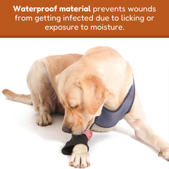 Doggie Stylz anti-lick sleeve emphasizes durability for chewing prevention during recovery.