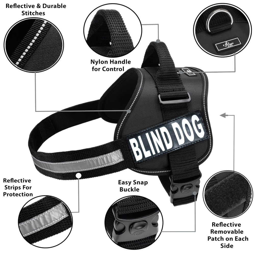 Doggie Stylz Blind Dog Harness handle in use shows guided support on stairs.