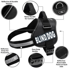Doggie Stylz Blind Dog Harness handle in use shows guided support on stairs.