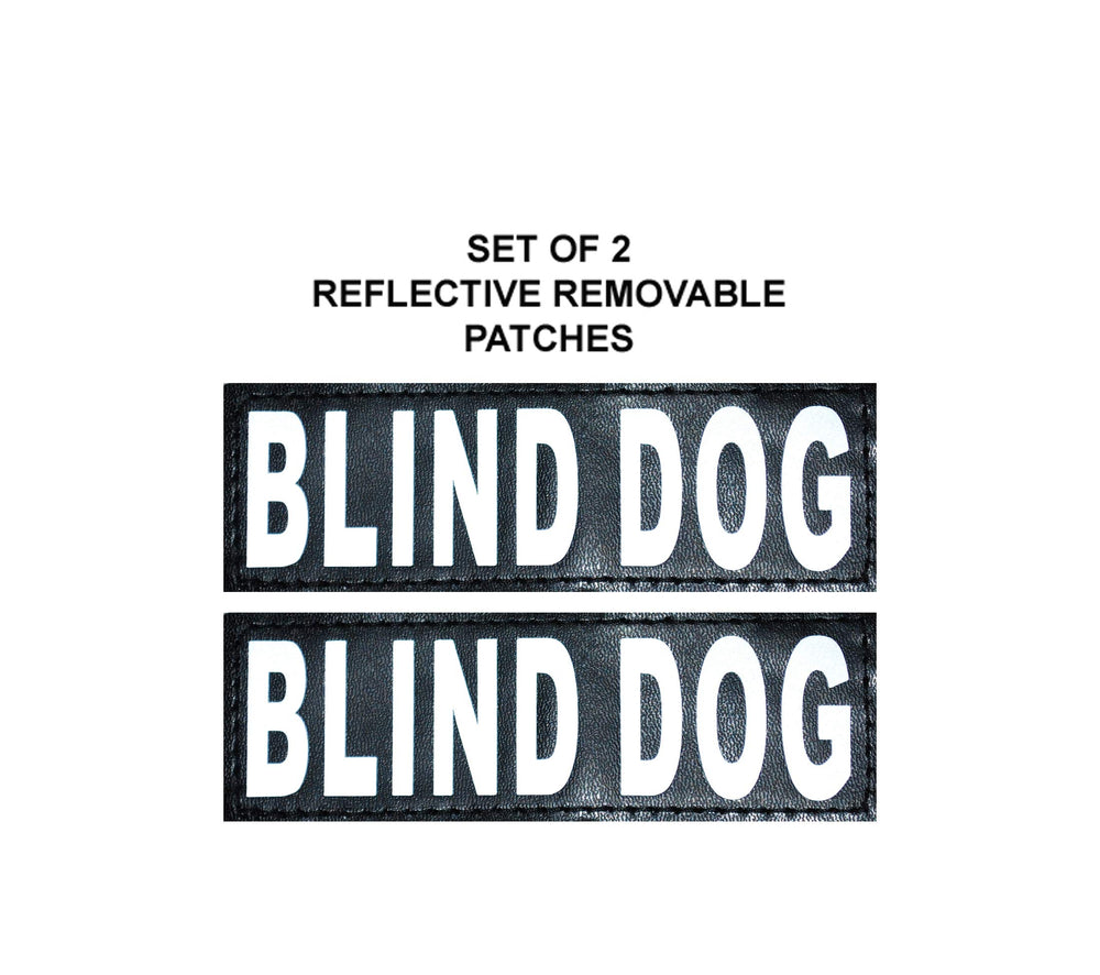Doggie Stylz Blind Dog Harness on dog nose shot demonstrates comfortable, snug wear.