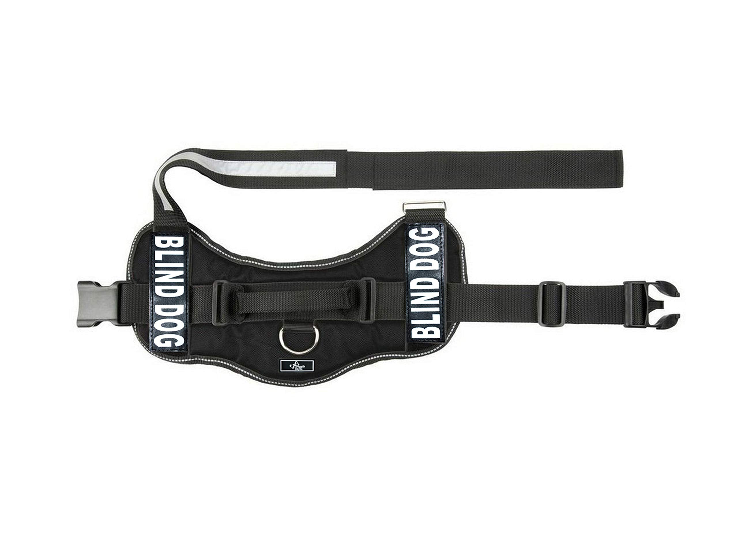 Doggie Stylz Blind Dog Harness reflective trim boosts visibility during night walks.