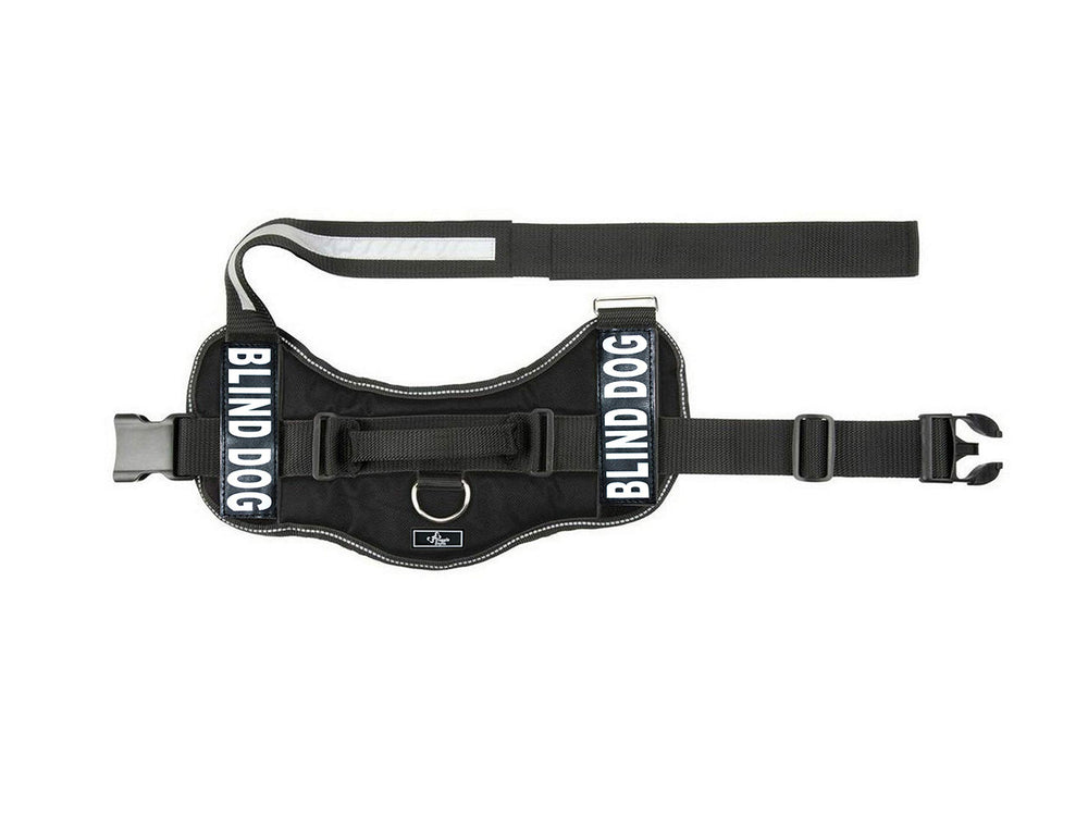 Doggie Stylz Blind Dog Harness reflective trim boosts visibility during night walks.
