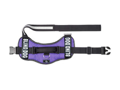 Doggie Stylz blind dog harness with reflective trim improves nighttime visibility.