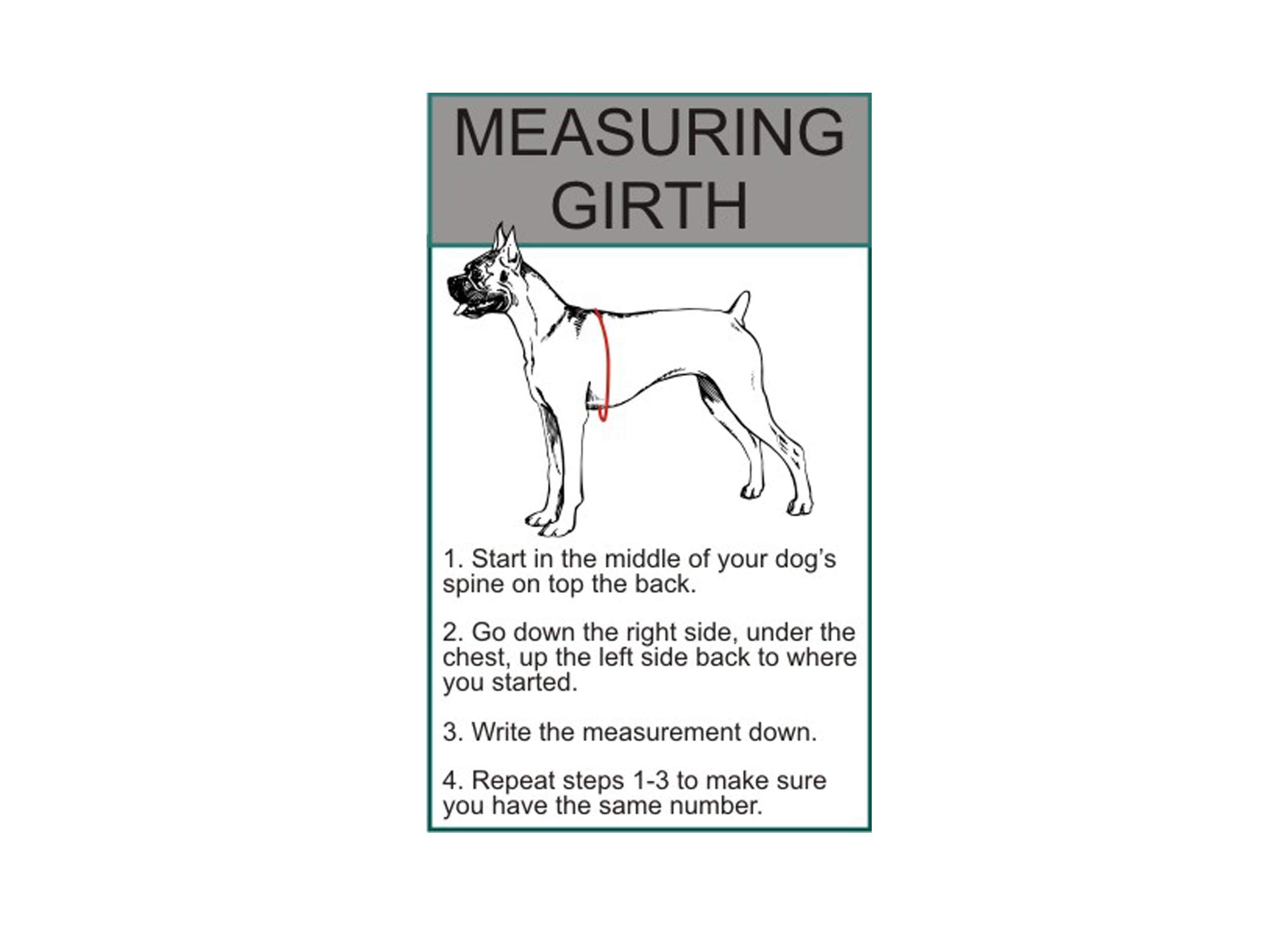 Doggie Stylz Blind Dog Harness service training use demonstrates versatile vest features.