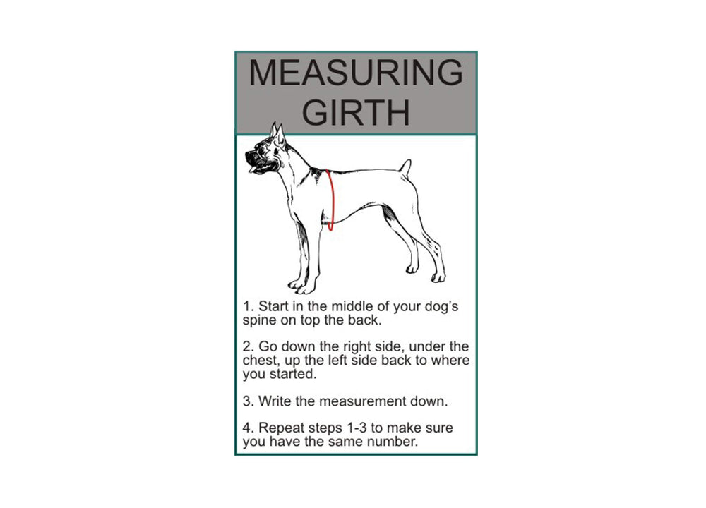 Doggie Stylz Blind Dog Harness service training use demonstrates versatile vest features.