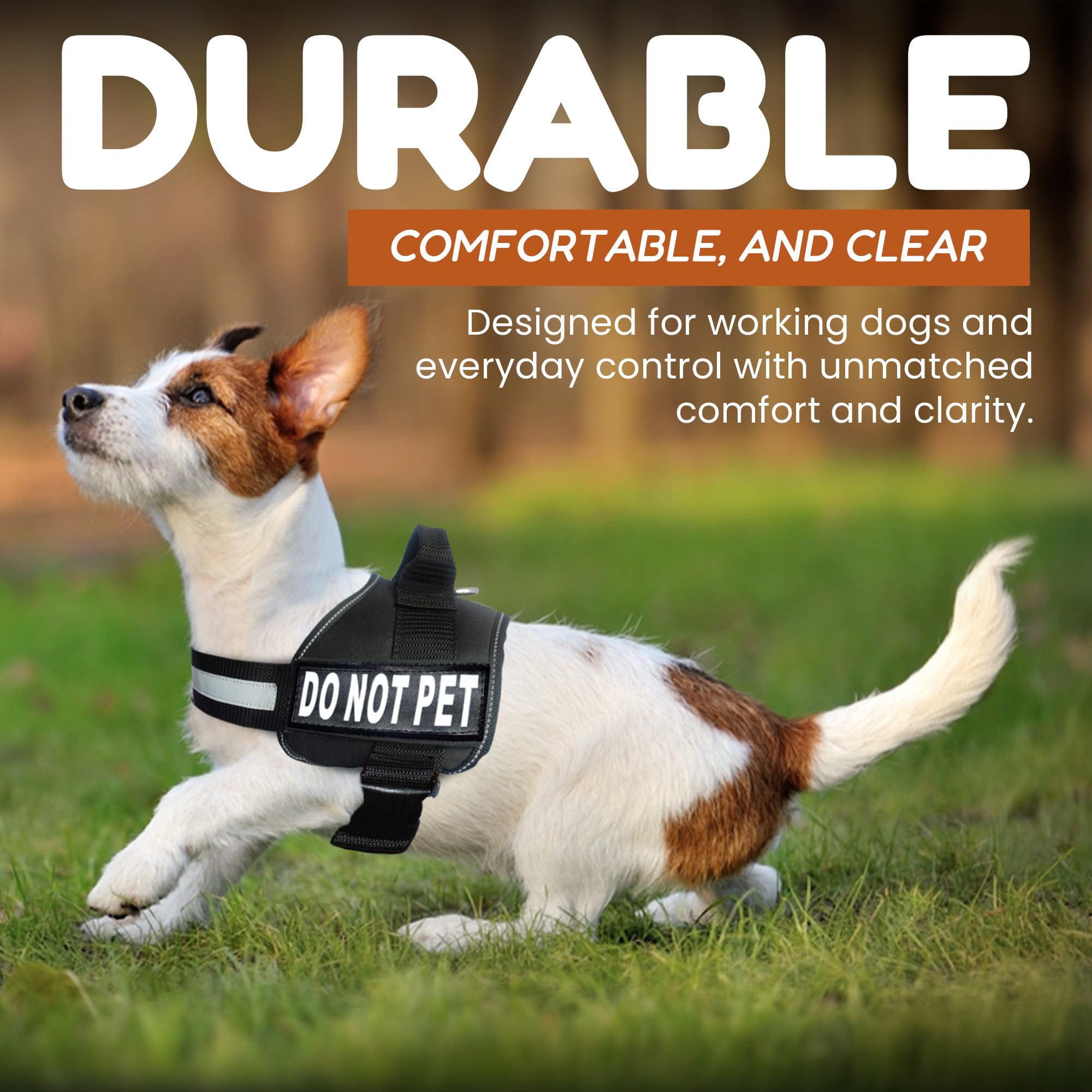 Doggie Stylz breathable neoprene padding keeps dogs cool during long wear.