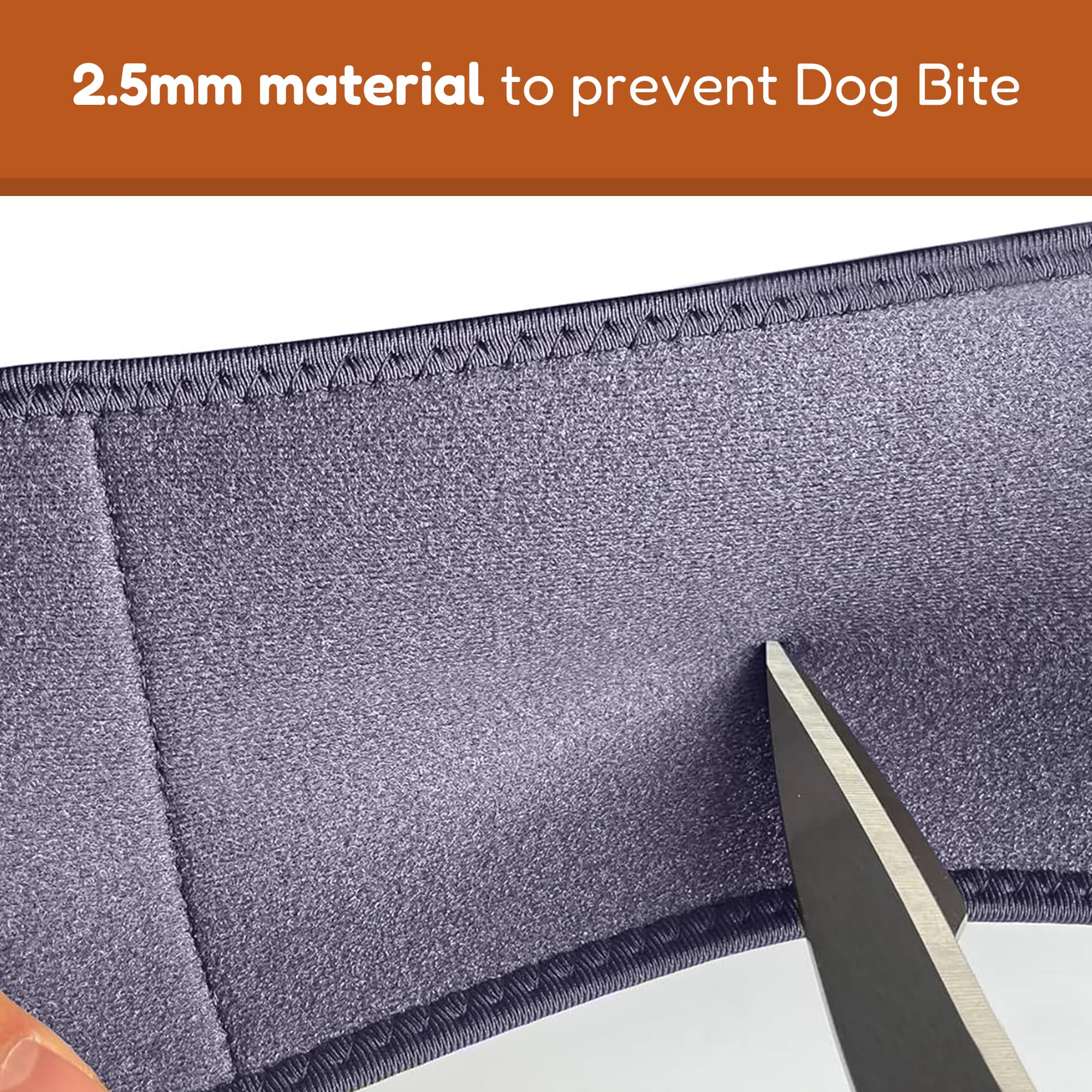 Doggie Stylz cone-alternative sleeve shown as a comfortable no-cone option.