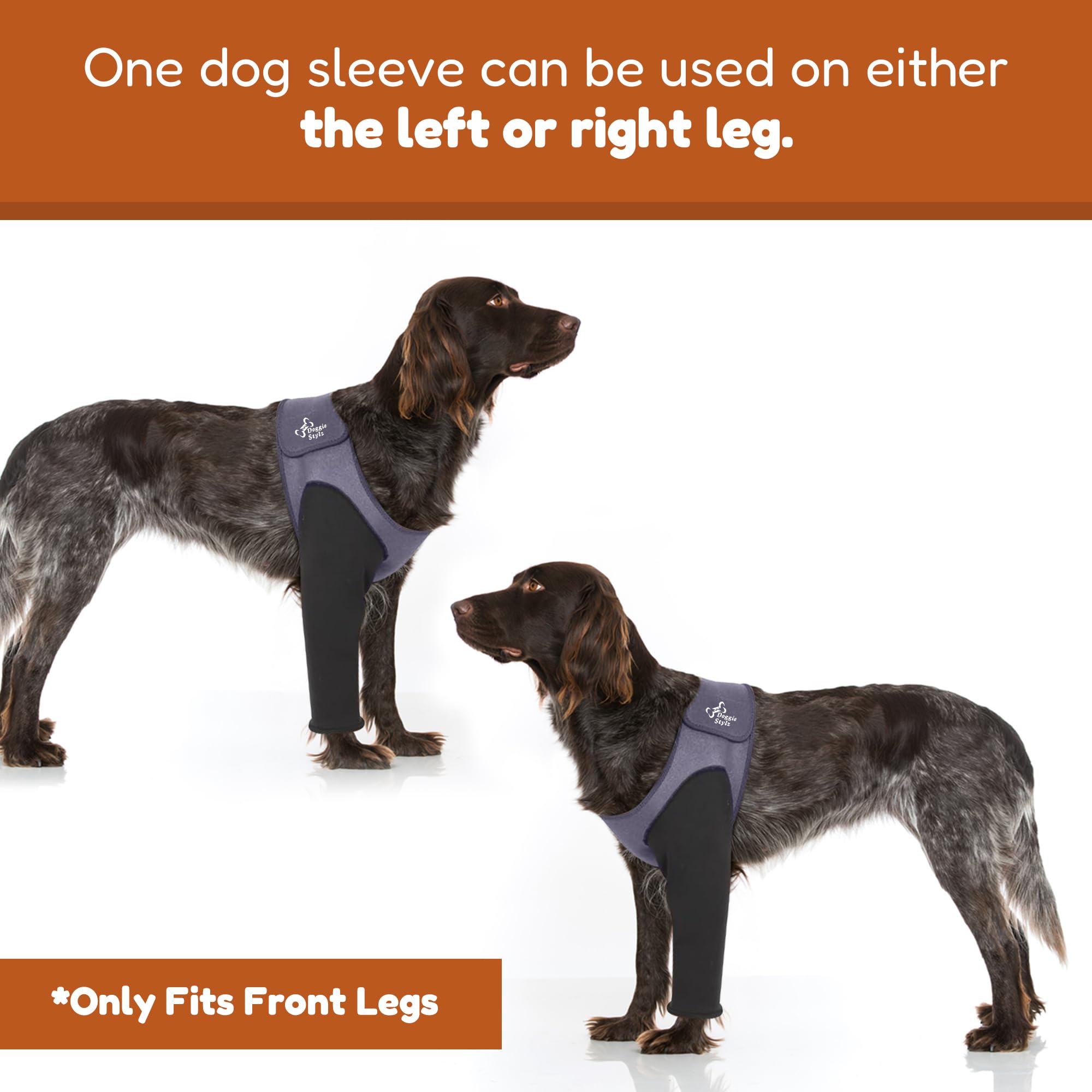 Doggie Stylz hot spot wrap provides secure coverage for irritated skin areas.