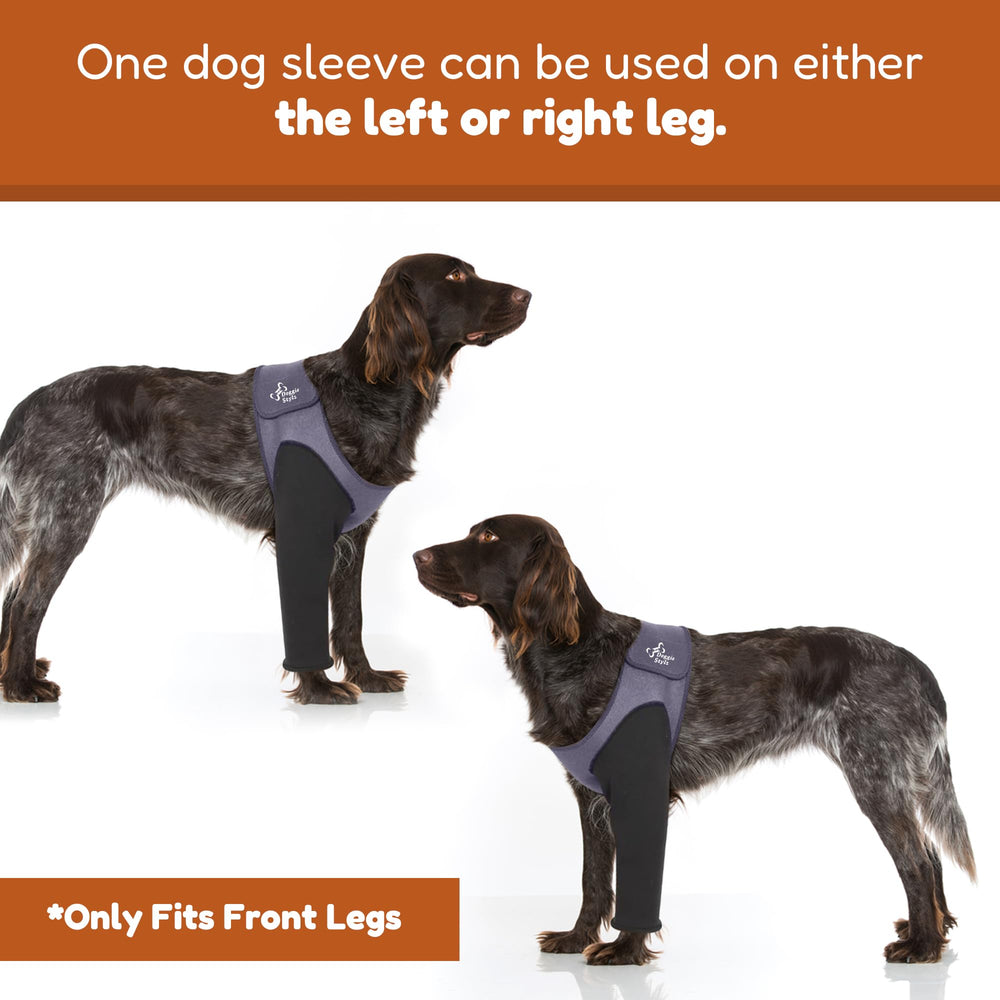 Doggie Stylz hot spot wrap provides secure coverage for irritated skin areas.