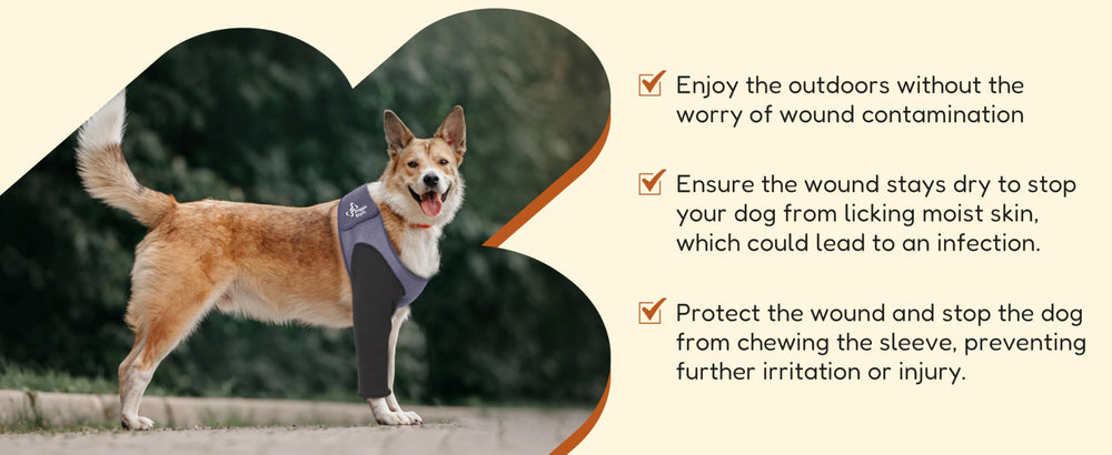 Doggie Stylz durable front leg sleeve supports gentle movement during recovery.