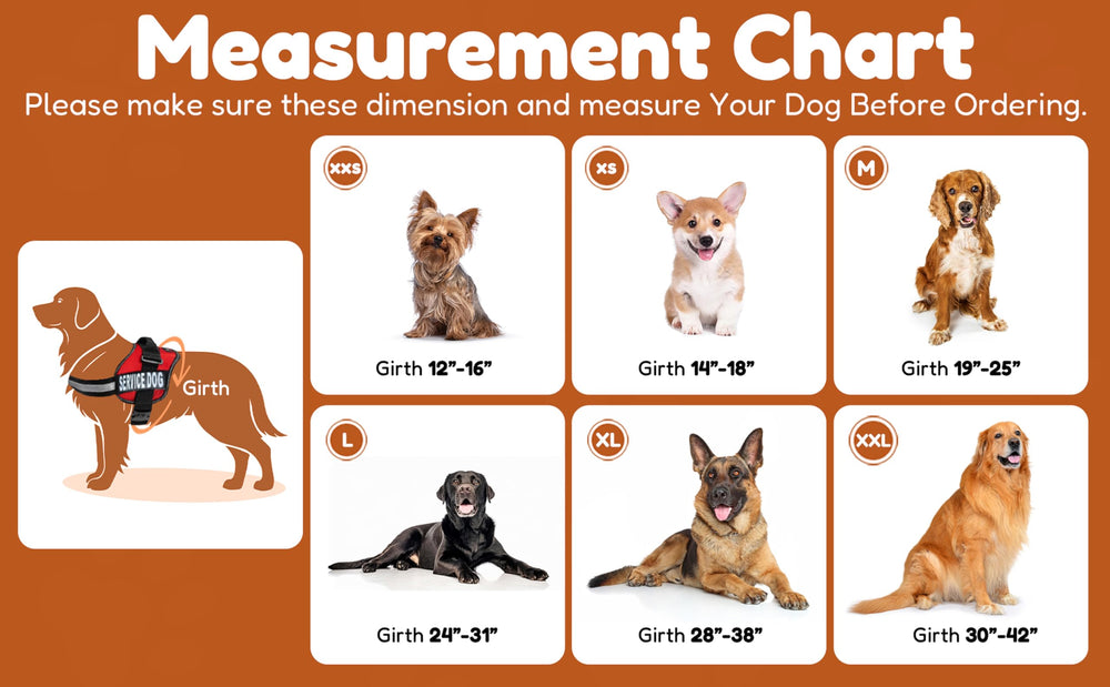 Doggie Stylz heavy-duty padded harness for secure, comfortable training sessions.