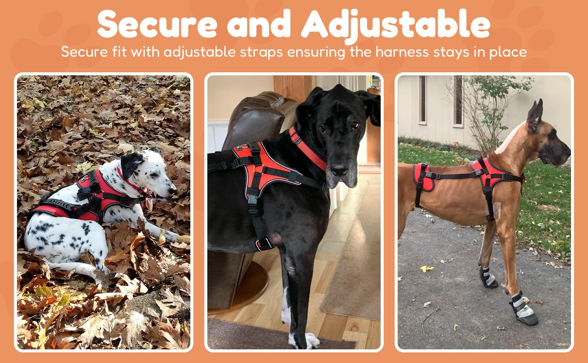 Doggie Stylz measuring guide shows size chart for proper fit.