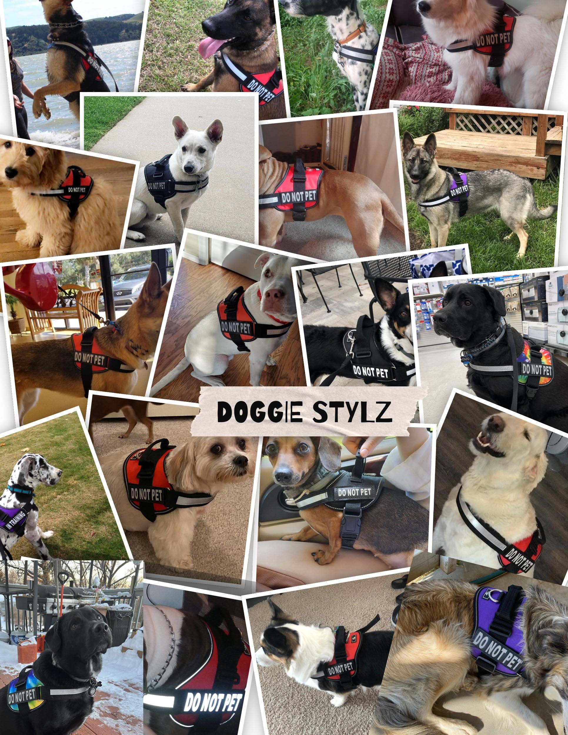 Doggie Stylz night-walk visibility vest improves safety during low light.