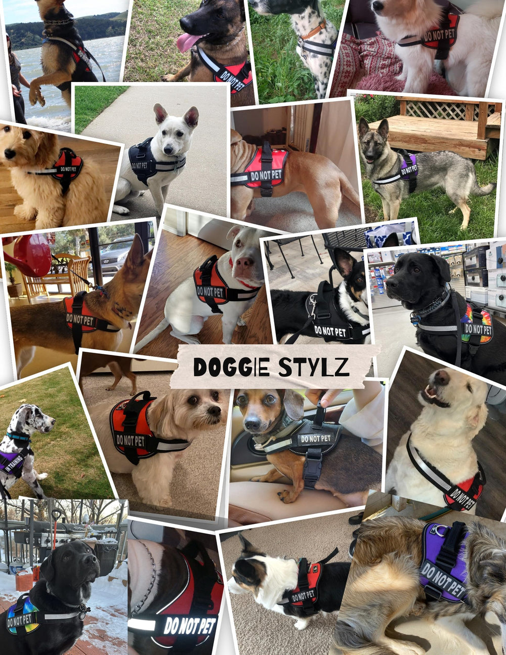 Doggie Stylz night-walk visibility vest improves safety during low light.