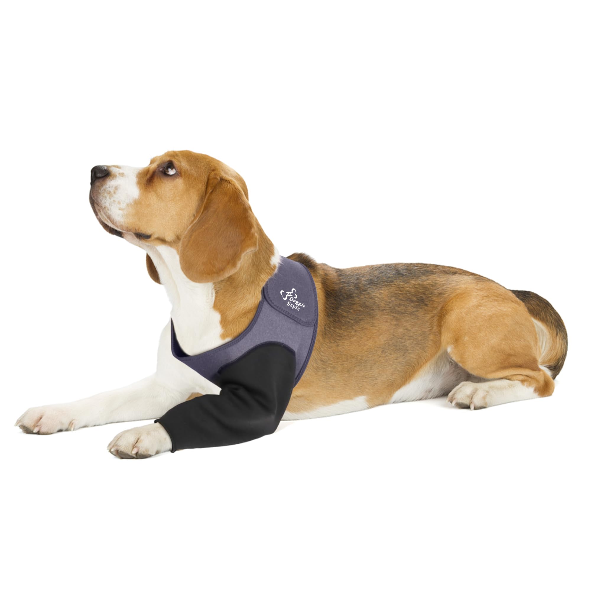 Doggie Stylz recovery sleeve on front-left leg protects wounds while promoting comfortable healing.