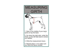 Doggie Stylz service dog harness red adjustable straps for a custom fit